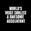 Picture of WORLDAND#039;S MOST COOLEST AND AWESOME ACCOUNTANT