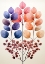 Picture of MINIMAL CALMS 32