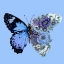 Picture of BLUE BUTTERFLY IN BLOOM MURAL
