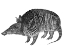 Picture of ARMADILLO DUVET