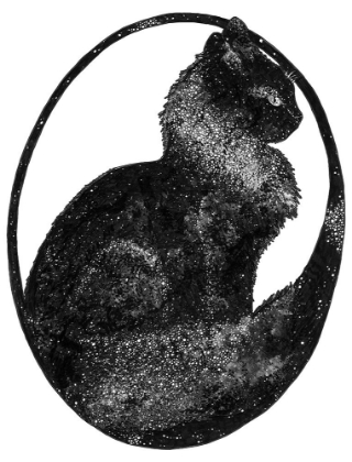 Picture of SPACE CAT LARGE