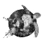 Picture of COSMIC SEA TURTLE SQUARE COPY