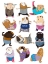 Picture of GUINEA PIG AEROBIC FINAL