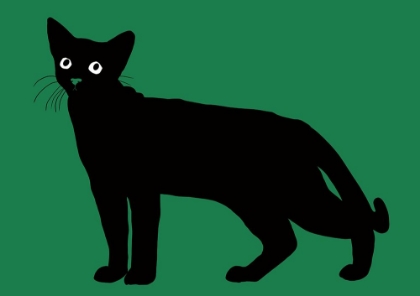 Picture of BLACK CAT