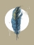 Picture of FEATHER IN A CIRCLE II