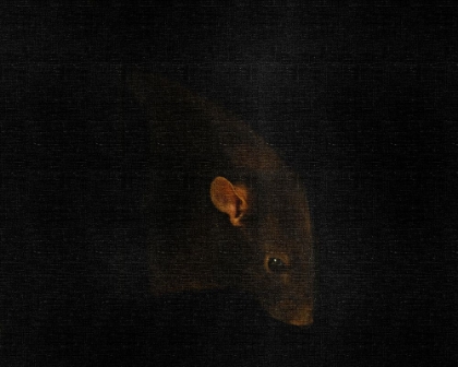 Picture of UNTITLED