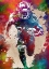 Picture of SPORT AMERICAN FOOTBALL PLAYER ART