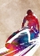 Picture of SPORT BOBSLEIGH ART (1)