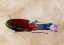 Picture of SPORT TABLE TENNIS GAME ART