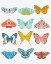 Picture of BUTTERFLY
