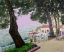 Picture of STREET