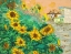 Picture of SUNFLOWERS