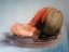 Picture of MELTACE