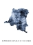 Picture of DEMOCRATIC REPUBLIC OF THE CONGO WATERCOLOR MAP