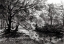Picture of ARENDSDORP - 17-05-24
