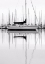 Picture of MONOCHROME HARBOR