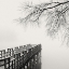 Picture of PIER IN WINTER FOG