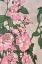 Picture of PINK VINE FLOWERS