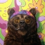 Picture of BEARLY BUZZED
