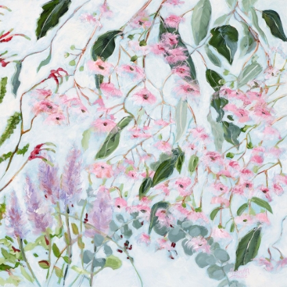 Picture of GUM TREE BLOSSOM