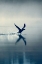 Picture of BIRD TAKING FLIGHT