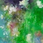 Picture of WHITE COSMOS NO. 2