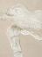 Picture of ART SHAPE 1
