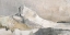 Picture of NORDIC SHAPES