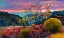Picture of SUNLIT HORIZON