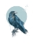 Picture of BLUE CROW