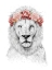 Picture of FESTIVAL LION