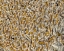 Picture of CROWDED