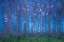 Picture of FAIRYLAND