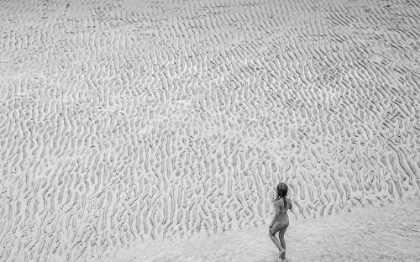 Picture of LOW TIDE