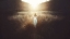 Picture of CHASE THE SUN