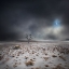 Picture of THE LAND OF THE MIDNIGHT SUN