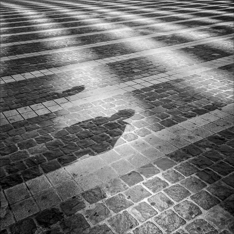 Picture of UNTITLED