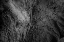 Picture of NATURAL TEXTURE