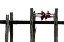 Picture of BILATERAL MONKS