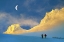 Picture of TOWARD FROZEN MOUNTAIN