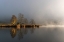 Picture of FOGGY MORNING