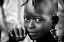Picture of HAMAR GIRL