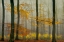 Picture of THE LATEST AUTUMN COLORS .............