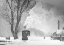 Picture of A WINTERS TALE