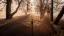 Picture of DOUBLE PATH