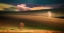 Picture of PAINTED BY THE LIGHT