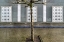 Picture of LITTLE TREE SCAPE