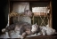 Picture of DONT WAKE UP A SLEEPING CAT