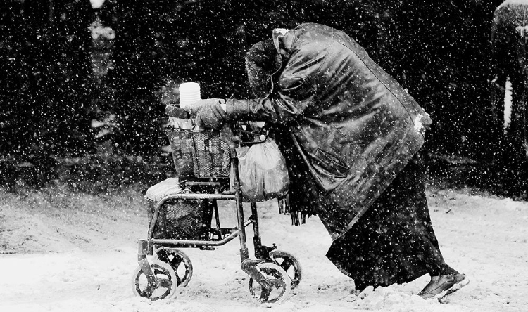 Picture of SNOW DAY