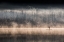 Picture of SUPING ON BOHINJ LAKE